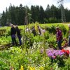 Gartenbesichtigung